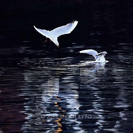 Gite Bord De Marne Paris Bry-sur-Marne Εξωτερικό φωτογραφία